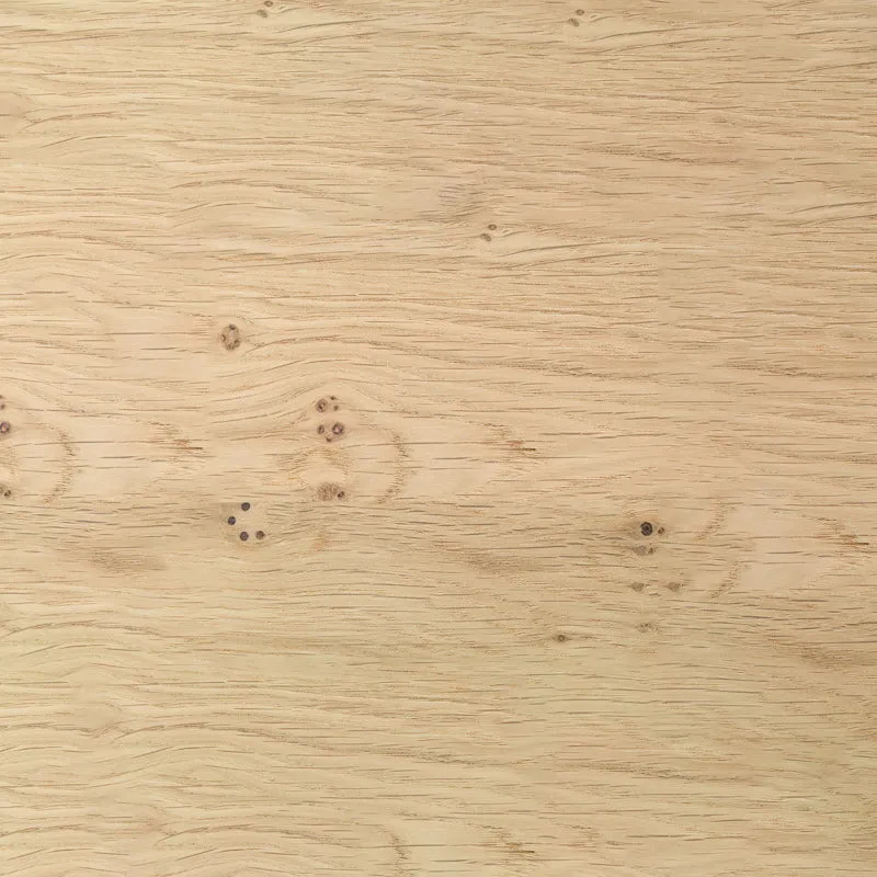 Banjo Media Unit