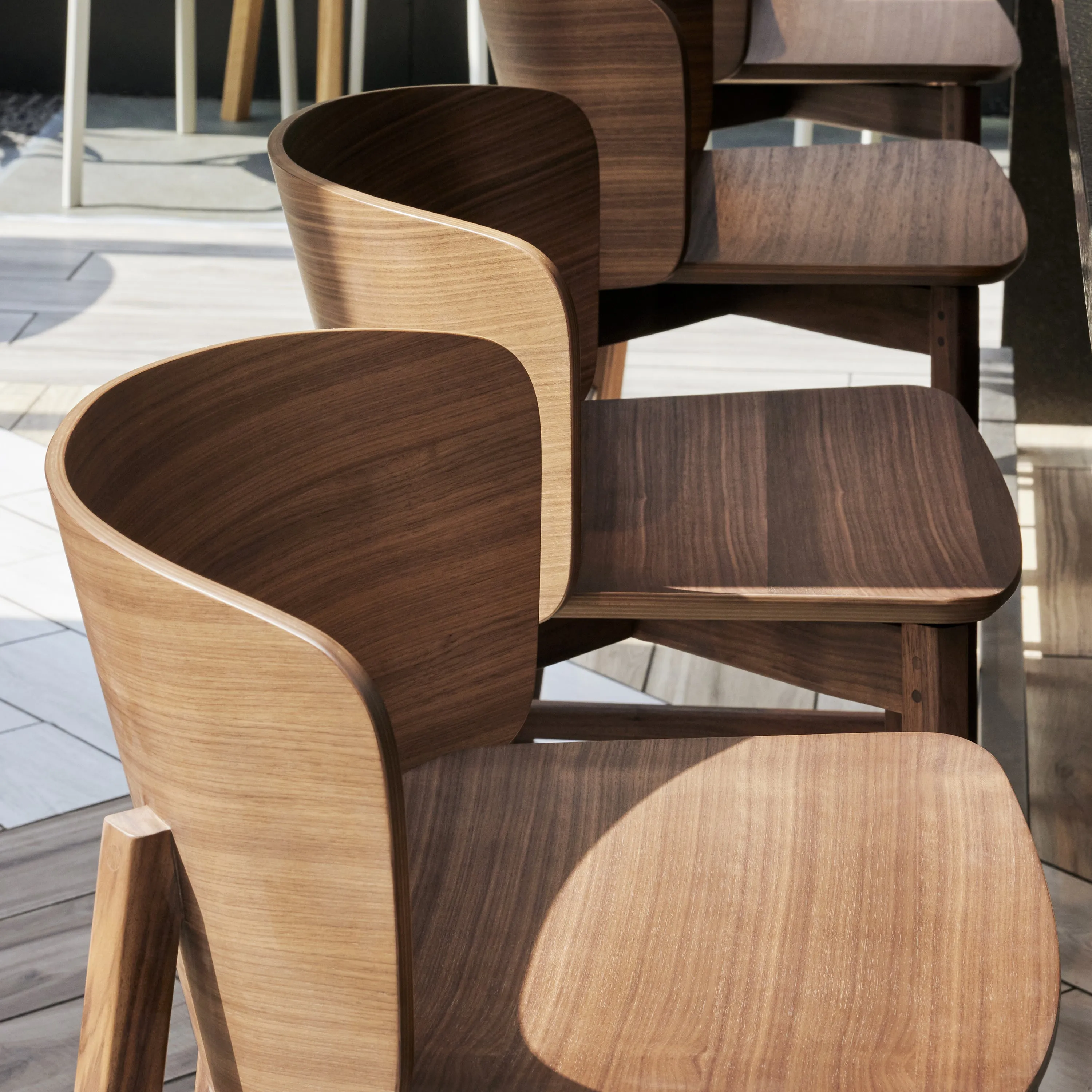 Buddy Dining Chair