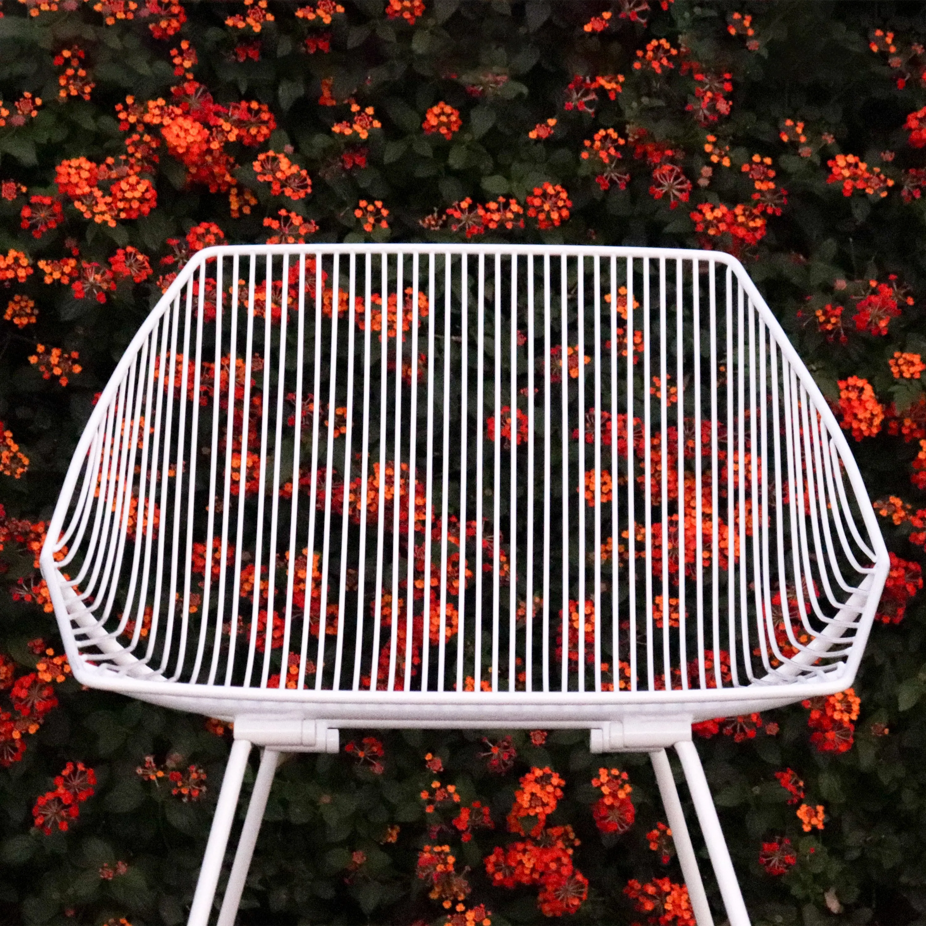 Bunny Lounge Chair