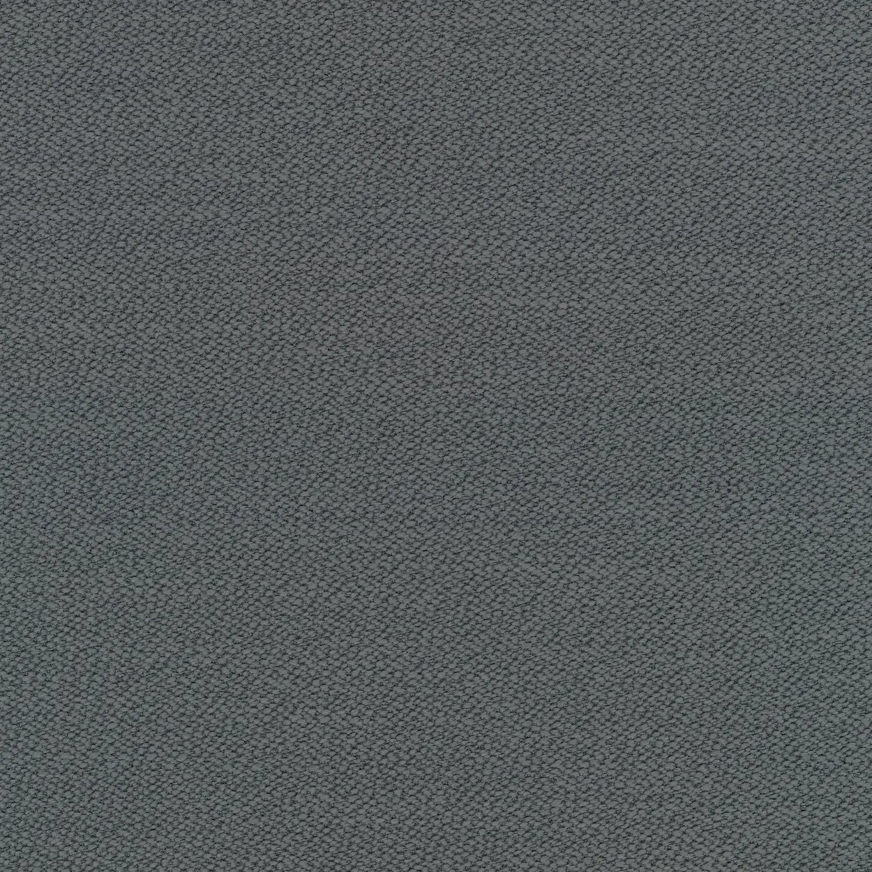 Collar Sofa