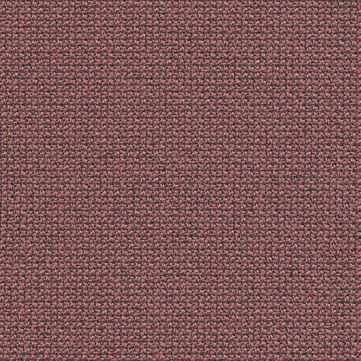 Collar Sofa