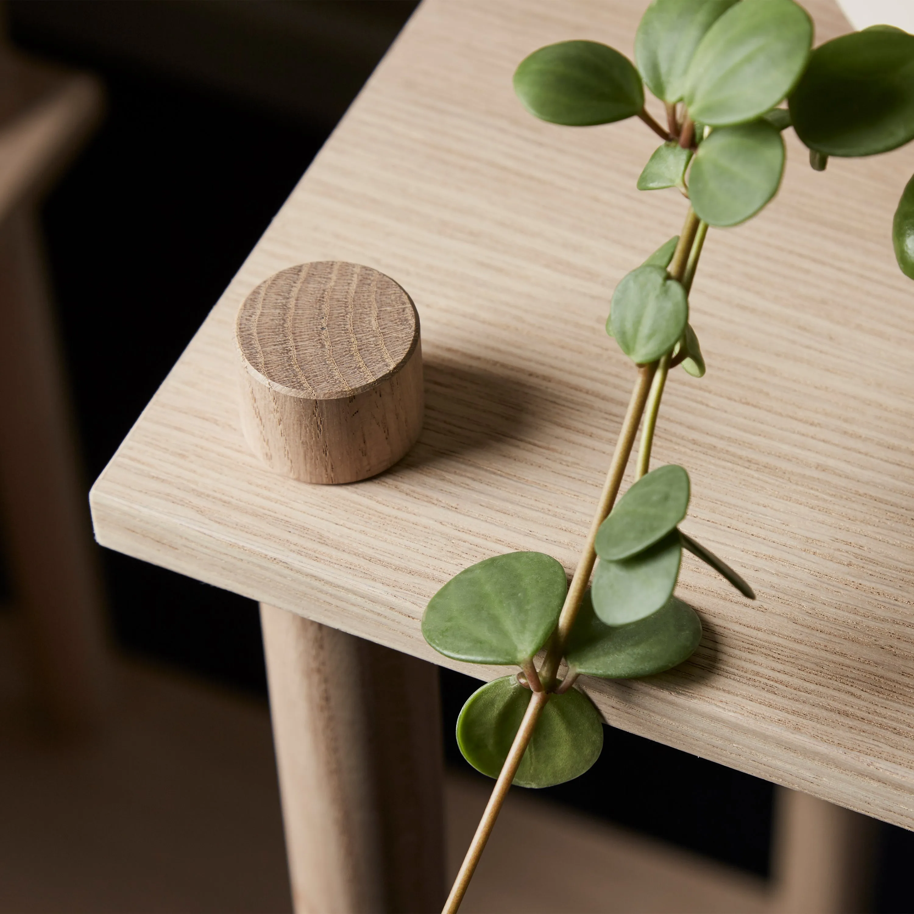 Elevate Shelving System 7
