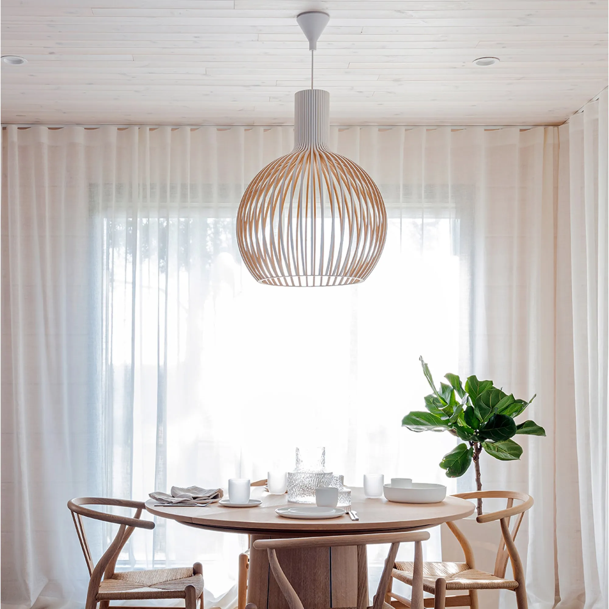 Octo Pendant Light