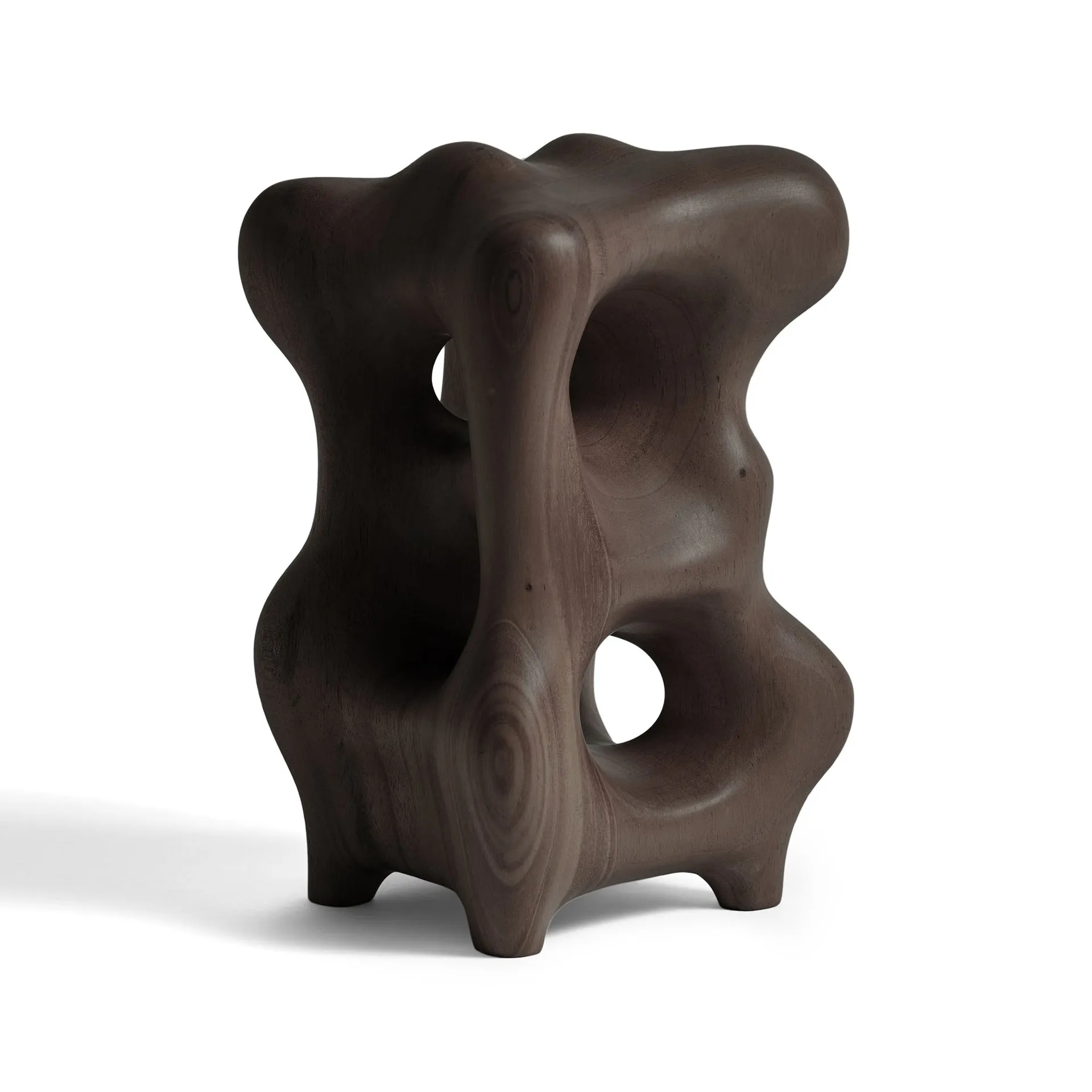 Organic Decorative Sculpture